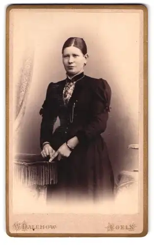 Fotografie W. Dalchow, Egeln, Breiteweg 76, Portrait dunkelhaarige Dame im prachtvollen Kleid