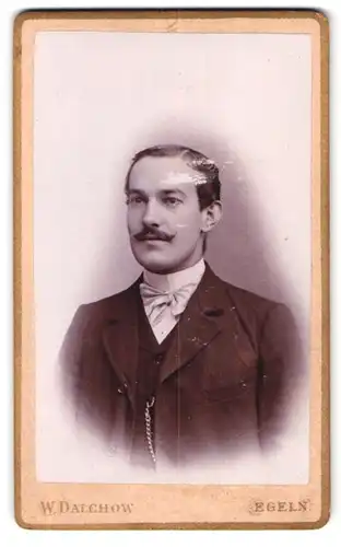 Fotografie W. Dalchow, Egeln, Breiteweg 76, Portrait stattlicher Herr mit Schnurrbart im Jackett