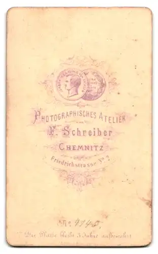 Fotografie F. Schreiber, Chemnitz, Friedrichstr. 2, Portrait brünette Schönheit mit Flechtdutt