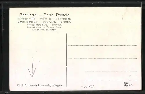 AK Berlin-Grunewald, Kolonie Grunewald, Königssee mit Ruderbooten