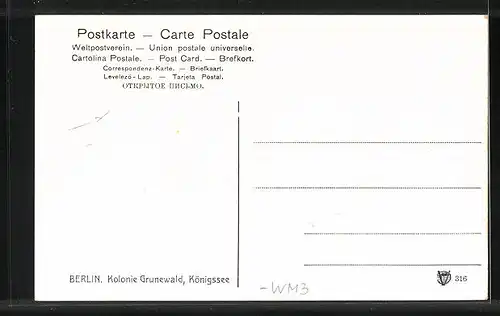 AK Berlin-Grunewald, Kolonie Grunewald mit Königssee und Villen