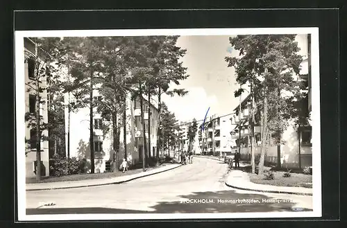 AK Stockholm, Hammarbyhöjden, Hasselqvistvägen