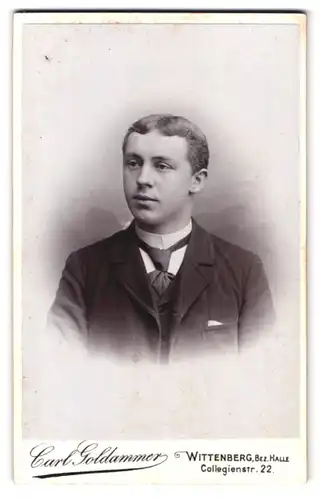 Fotografie Carl Goldammer, Wittenberg, Collegienstr. 22, Portrait charmanter junger Mann mit Krawatte im Jackett