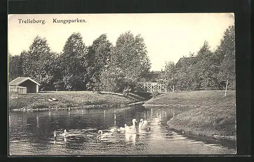 AK Trelleborg, Kungsparken