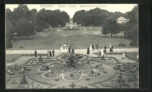 AK Dresden, Grosser Garten, Blumenbeet am Palais