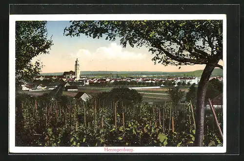 AK Herzogenburg, Panoramablick auf den Ort