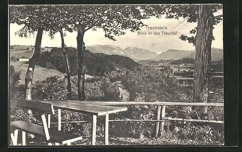 AK Traunstein, Blick in das Trauntal