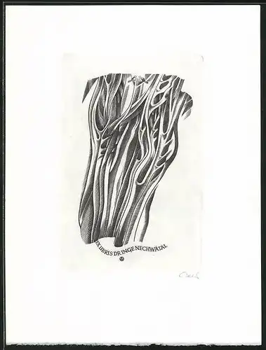 Exlibris Dr. Inge Nechwatal, Vögel sitzen auf Blumen