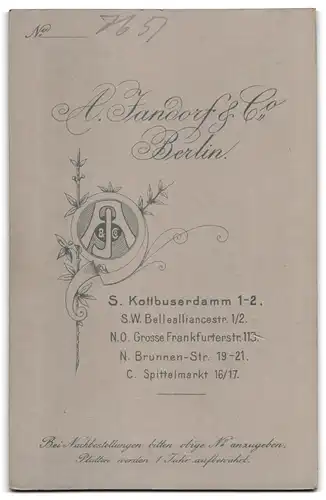 Fotografie A. Jandorf & Co., Berlin, Kottbuserdamm 1-2, Schlankes Fräulein am Tisch