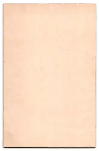 Fotografie T. C. Protheroe, Pelham, N. Y., 423, Eighth Ave., Portrait junges Mädchen in hübscher Kleidung