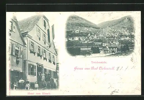 AK Bad Liebenzell, Hotel zum Hirsch, Totalansicht