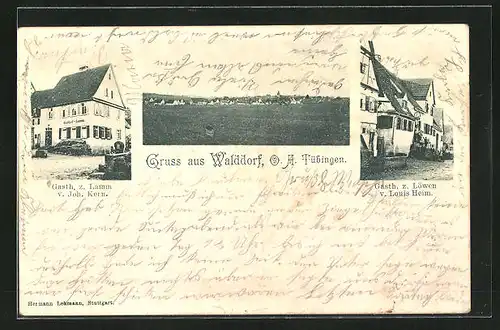 AK Walddorf / O. A. Tübingen, Gasth. z. Löwen, Gasth. z. Lamm