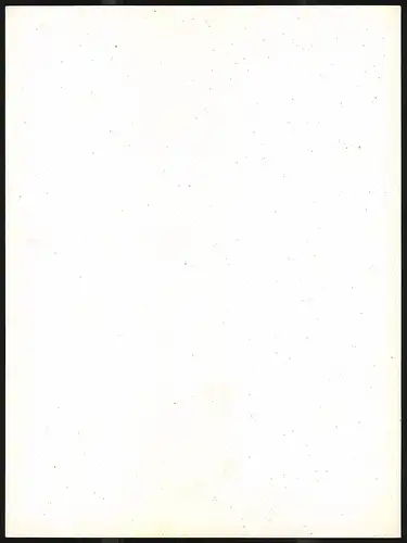 Fotografie Würthle & Sohn, Salzburg, Ansicht Schönau am Königsee, St. Bartholomä am Königsee, Gondler auf dem See
