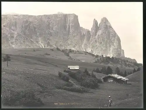 Fotografie Gebr. Baehrendt, Meran, Ansicht Schlern, Partie auf der Seiser Alpe mit Bergmassiv, Fotografenstempel