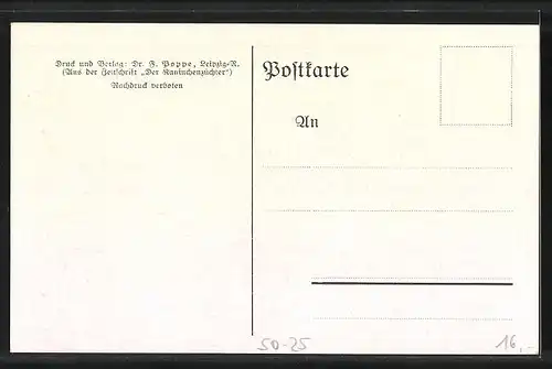 AK Französisches Widderkaninchen, Häsin