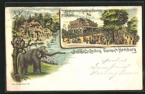 Lithographie Hamburg, Zoologischer Garten, Restaurant Zoolog. Garten, Elefant und Affen