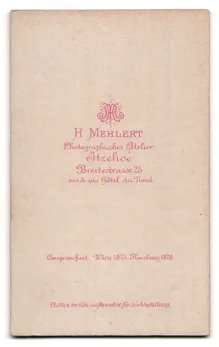 Fotografie H. Mehlert, Itzehoe, Breitestrasse 25, Portrait junger Herr im Anzug mit Fliege