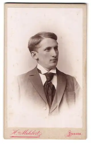 Fotografie H. Mehlert, Itzehoe, Breitestrasse 25, Portrait junger Herr im Anzug mit Krawatte