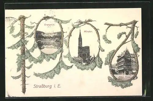 AK Strassburg i. E., Orangerie, Münster und Altes Haus in Jahreszahl 1907