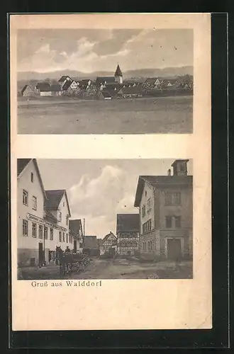 AK Walddorf, Strassenpartie mit Gasthaus u. Metzgerei, Totalansicht mit Kirche