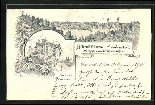 Lithographie Freudenstadt, Gasthaus Kurhaus Palmenwald, Totalansicht vom Walde aus