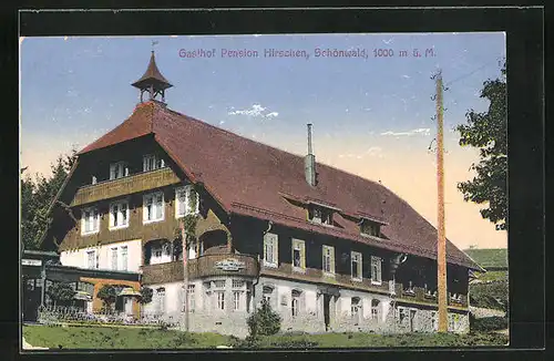 AK Schönwald, Gasthof u. Pension Hirschen, Telegrafenmast