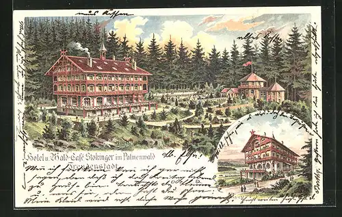 Lithographie Freudenstadt, Hotel und Waldcafe Stokinger im Palmenwald, Albansicht