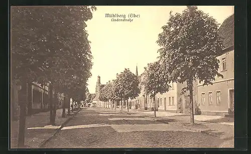 AK Mühlberg / Elbe, Ansicht der Lindenstrasse mit Kirche