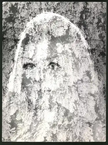 Fotografie Frauenkopf in Eiskristallen, Fotomontage