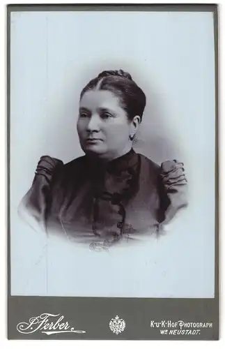 Fotografie Josef Ferber, Wiener Neustadt, Bahngasse 30, Portrait bürgerliche Dame mit hochgestecktem Haar