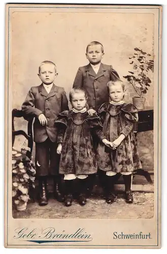 Fotografie Gebrüder Brändlein, Schweinfurt a /M., Portrait zwei Jungen und zwei Mädchen in hübscher Kleidung