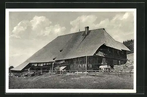 AK Schönwald, Hotel Schwarzwälder Hof