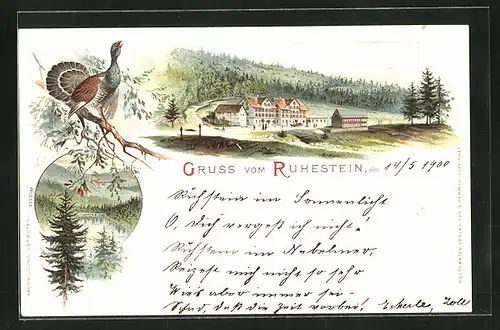 Lithographie Ruhestein, Ortspartie, See, Auerhahn