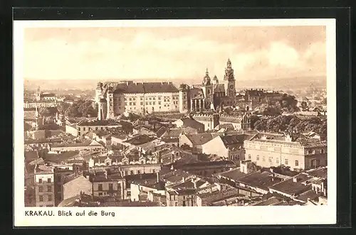 AK Krakau-Krakow, Blick auf die Burg