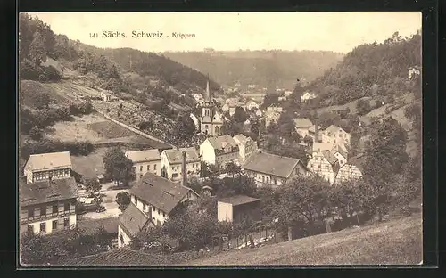 AK Krippen /Sächs. Schweiz, Teilansicht mit Kirche