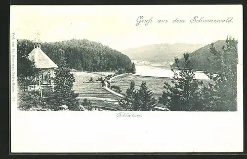 AK Schluchsee, Blick vom Pavillon zum See