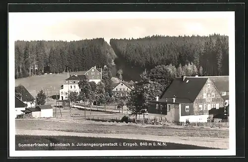 AK Steinbach b. Johanngeorgenstadt, Teilansicht gen Wald