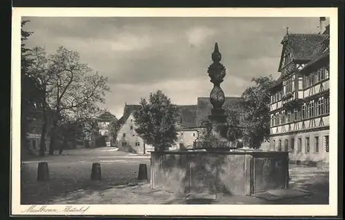 AK Maulbronn, Brunnen im Klosterhof