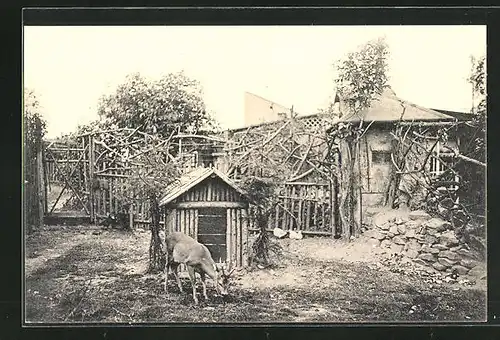 AK Freiberg i. Sa., Reh-Zwiger am Wald-Café