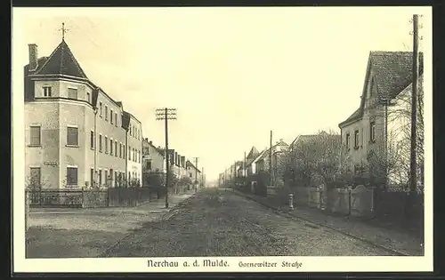 AK Nerchau a. d. Mulde, Gronewitzer Strasse mit Bäumen