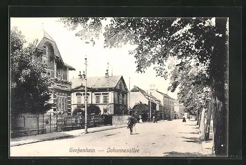 AK Grossenhain, Passanten in der Johannesallee