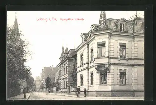 AK Leisnig / Sachsen, König-Albert-Strasse mit Gebäudezeile