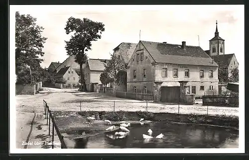 AK Zadel b. Meissen, Dorfpartie am Dorfteich