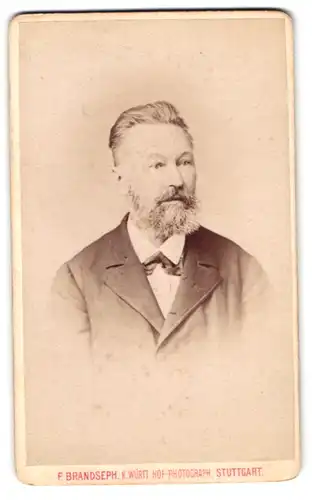 Fotografie F. Brandseph, Stuttgart, Marienstrasse 36, Portrait älterer Herr im Anzug mit Vollbart