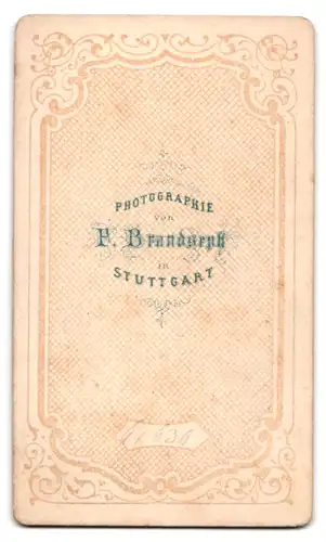 Fotografie F. Brandseph, Stuttgart, Portrait junge Dame mit Kragenbrosche