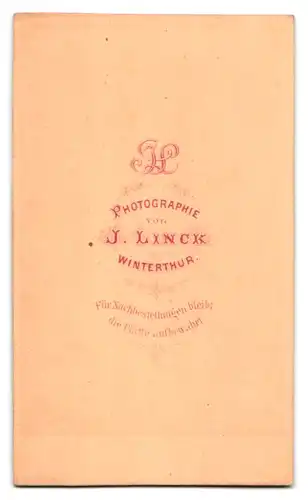 Fotografie J. Linck, Winterthur, Portrait junge Dame mit Hochsteckfrisur