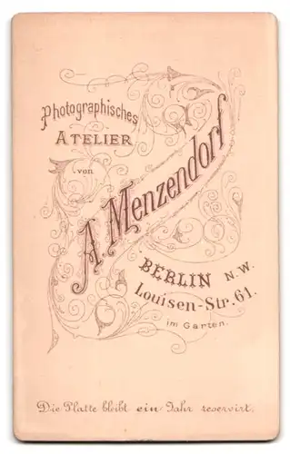 Fotografie A. Menzendorf, Berlin, Louisen-Str. 61, Portrait junger Knabe mit Geige / Violine im Anzug