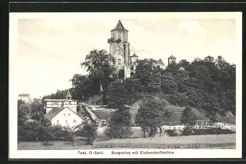 AK Tost, Burgruine mit Eichendorffmühle