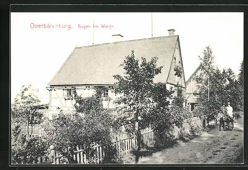 AK Oberbärenburg, Hagen im Walde