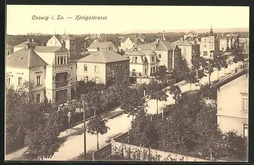 AK Coswig i. Sa., Königstrasse mit Bäumen